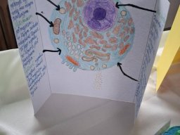 5885547261314887223772556211594626572815439n